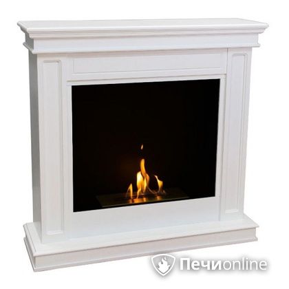 Биокамин Firebird Селена белый в Анапе